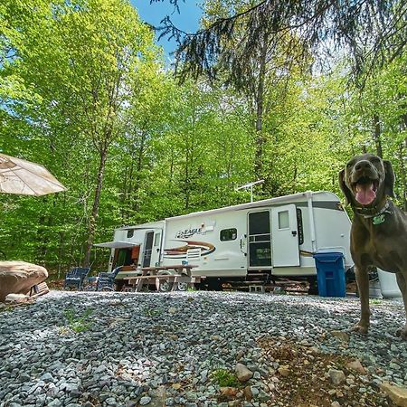 Rv Adventure Roscoe Pet Friendly Otel Dış mekan fotoğraf